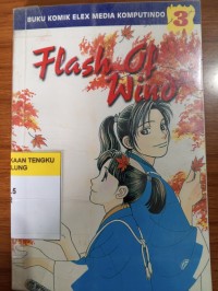 Image of flash of wind